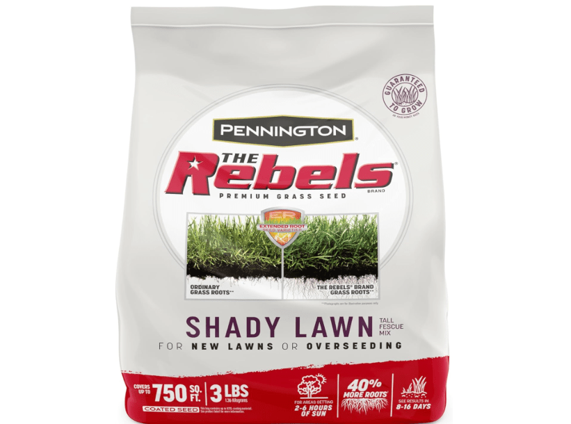 
Pennington The Rebels Tall Fescue Shady Grass Seed Mix 3 lb