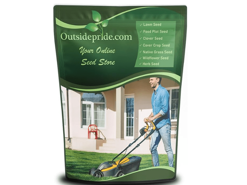 
Outsidepride SPF-30 Hybrid Bluegrass Seeds - 25 lbs. Heat & Drought Tolerant, Texas Bluegrass & Kentucky Bluegrass Seed Mix for Challenging Climates...