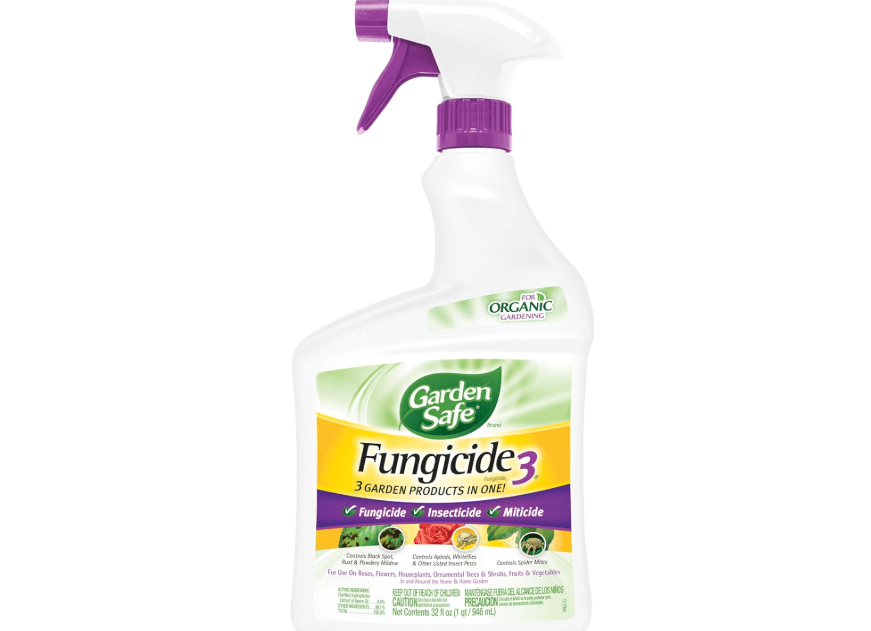
Garden Safe Brand Fungicide3, 32 Fluid Ounces, Insecticide and Miticide with Neem Oil Extract for Organic Gardening, Controls Black Spot, Aphids 