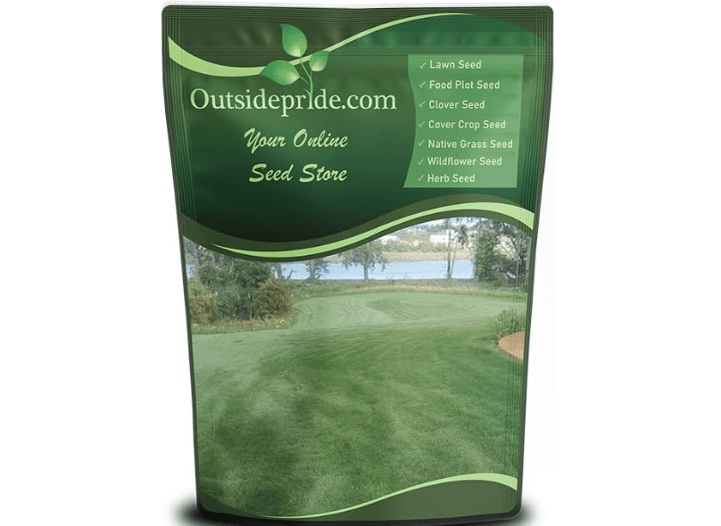 
Outsidepride Combat Extreme Transition Zone Grass Seed Blend for Lawn 10 lbs - Fine, Medium Leaf Blades & Dense Turf for Sun, Shady & High Traffic..