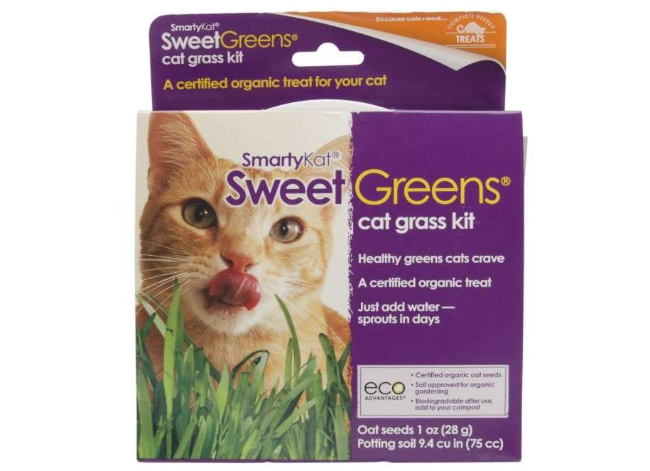 SmartyKat Sweet Greens Cat Grass Seed Grow Kit - 1 Ounce
