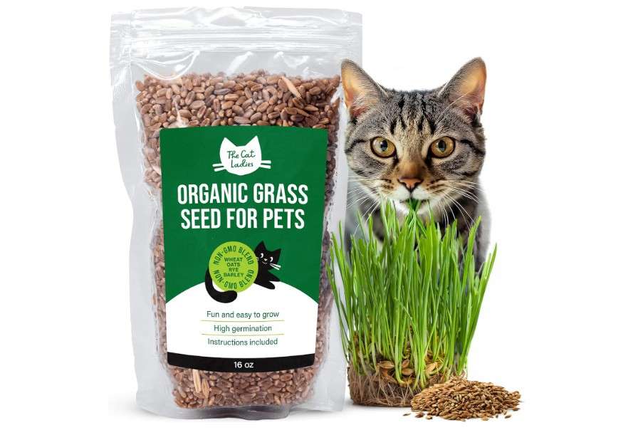 The Cat Ladies 100% Organic Cat Grass Seeds - Cat Grass for Indoor Cats - (Non GMO) 16 oz
