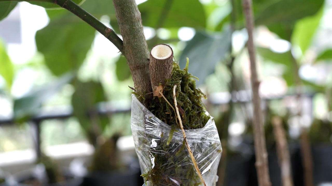 Advanced Tips to Accelerate Progres