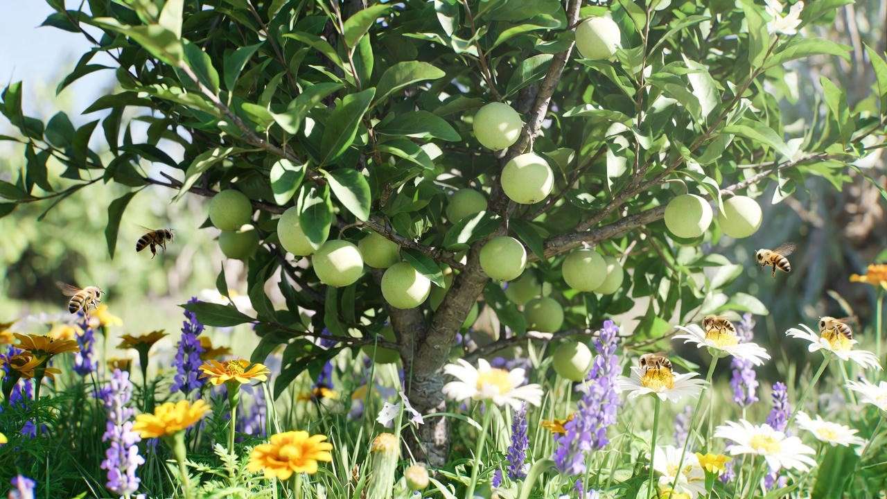 June plum tree with bees pollinating among marigolds and lavender in a tropical garden"