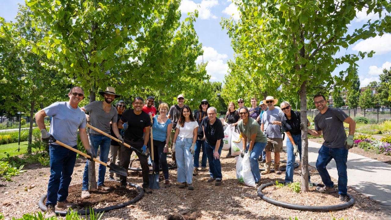 Community installing tree watering rings to boost urban tree health and canopy coverage.