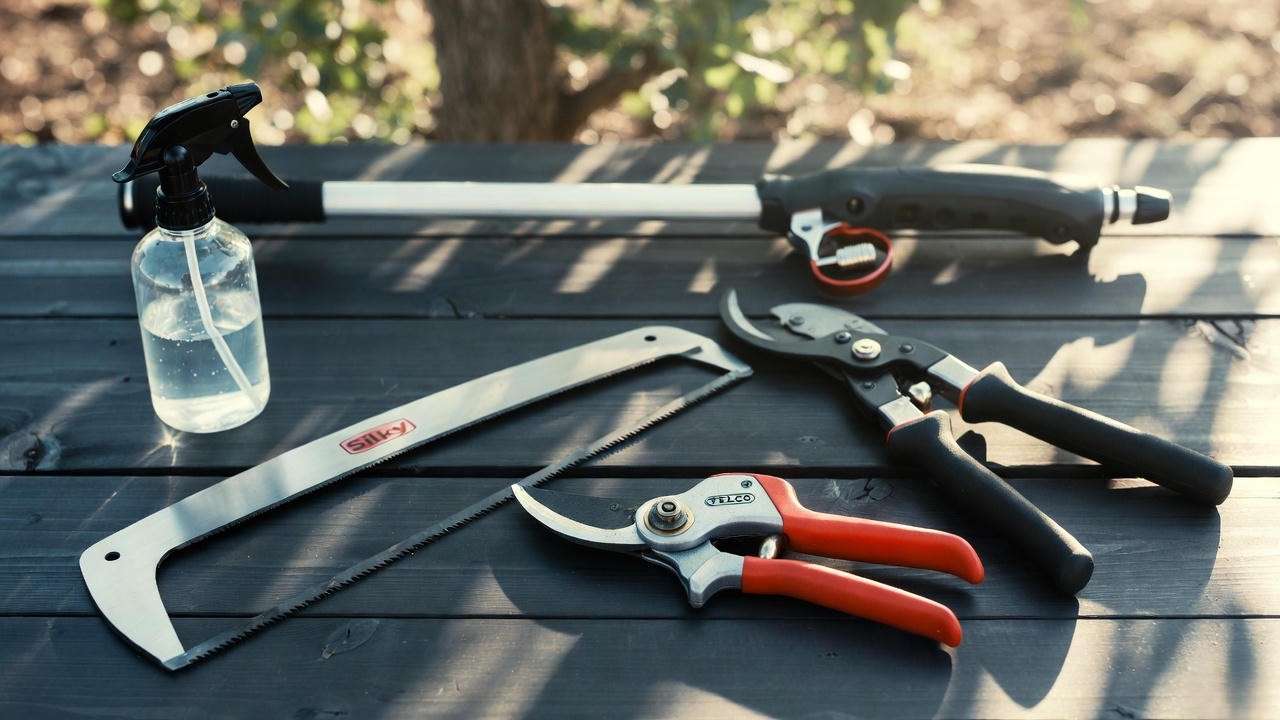 Recommended pruning tools for cutting back cherry trees 2025