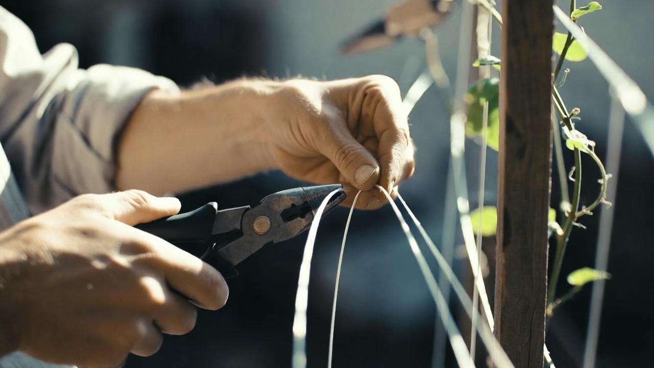 Hands shaping guitar strings into a trellis with pliers for DIY plant support.