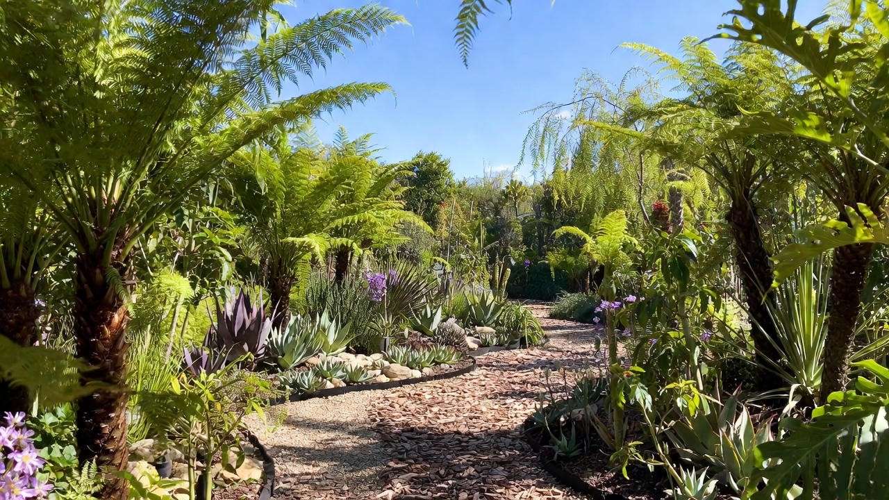 Sustainable garden with plants grown using eco-friendly tree fern fiber."