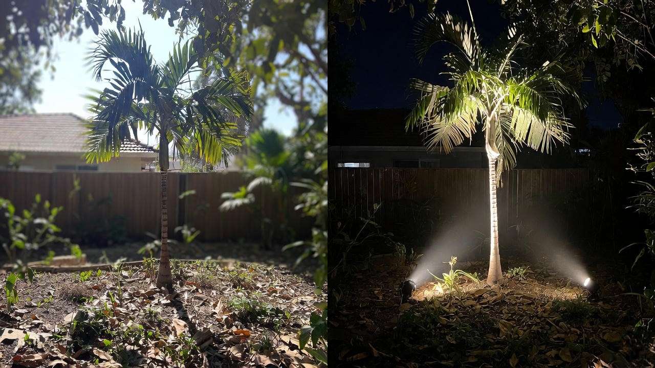 Before and after palm tree lighting transformation from plain to stunning tropical nightscape