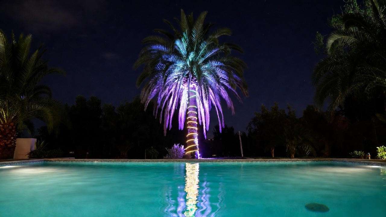 Smart color-changing LED lights on palm tree reflecting in pool for tropical party vibe