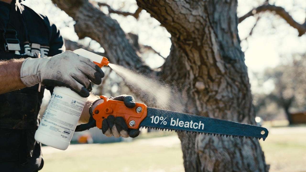 Oak Wilt Prevention Protocol