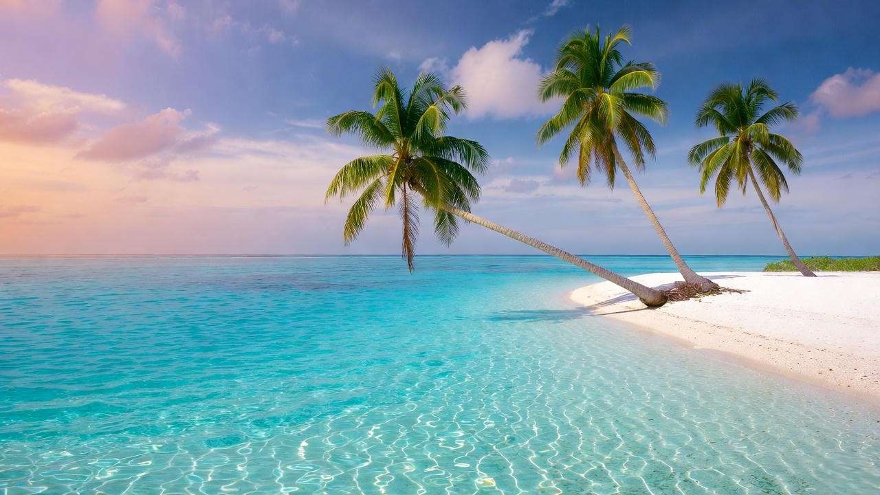 Coconut palms leaning over turquoise lagoon at sunrise symbolizing tropical paradise and escape