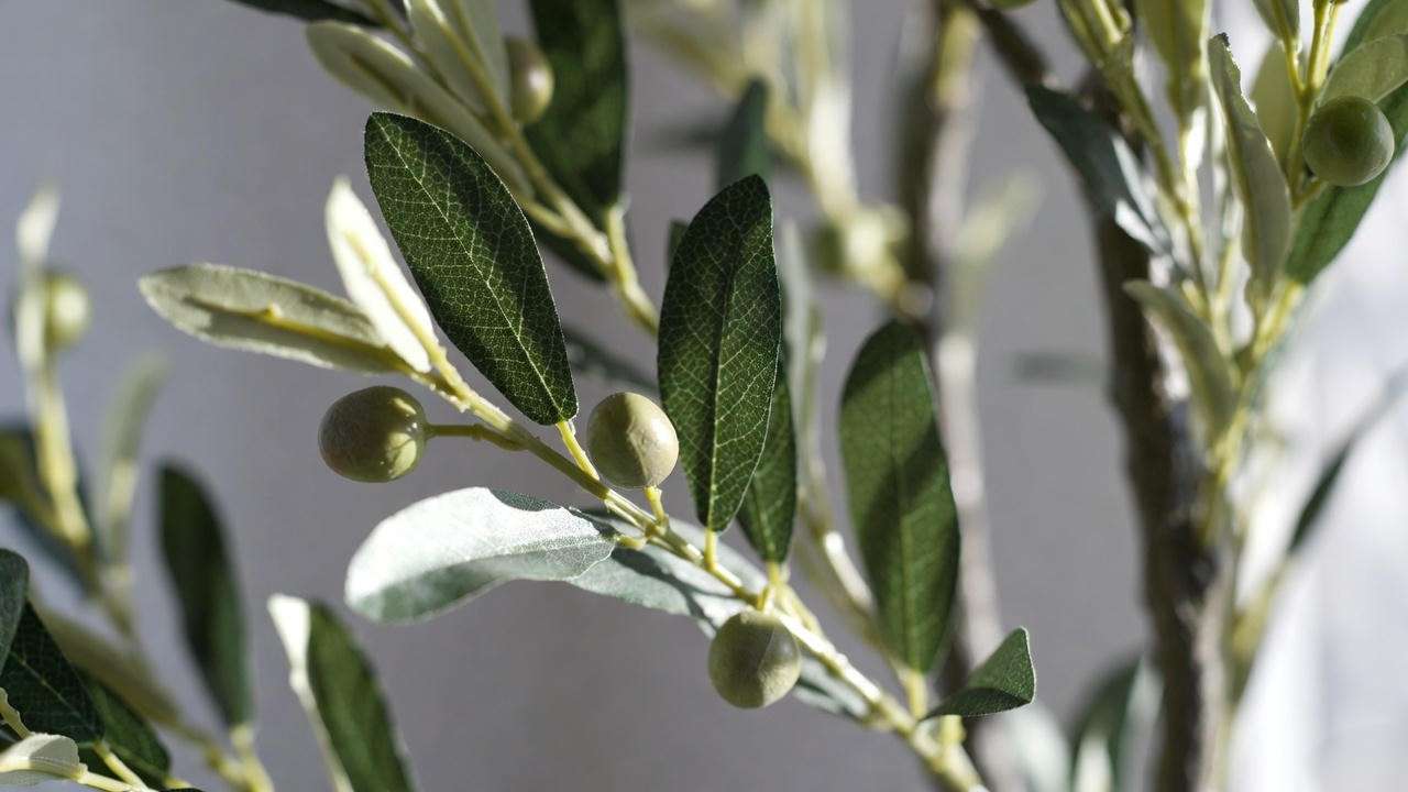 lose-up of the most realistic faux olive tree leaves and faux olives in 2025