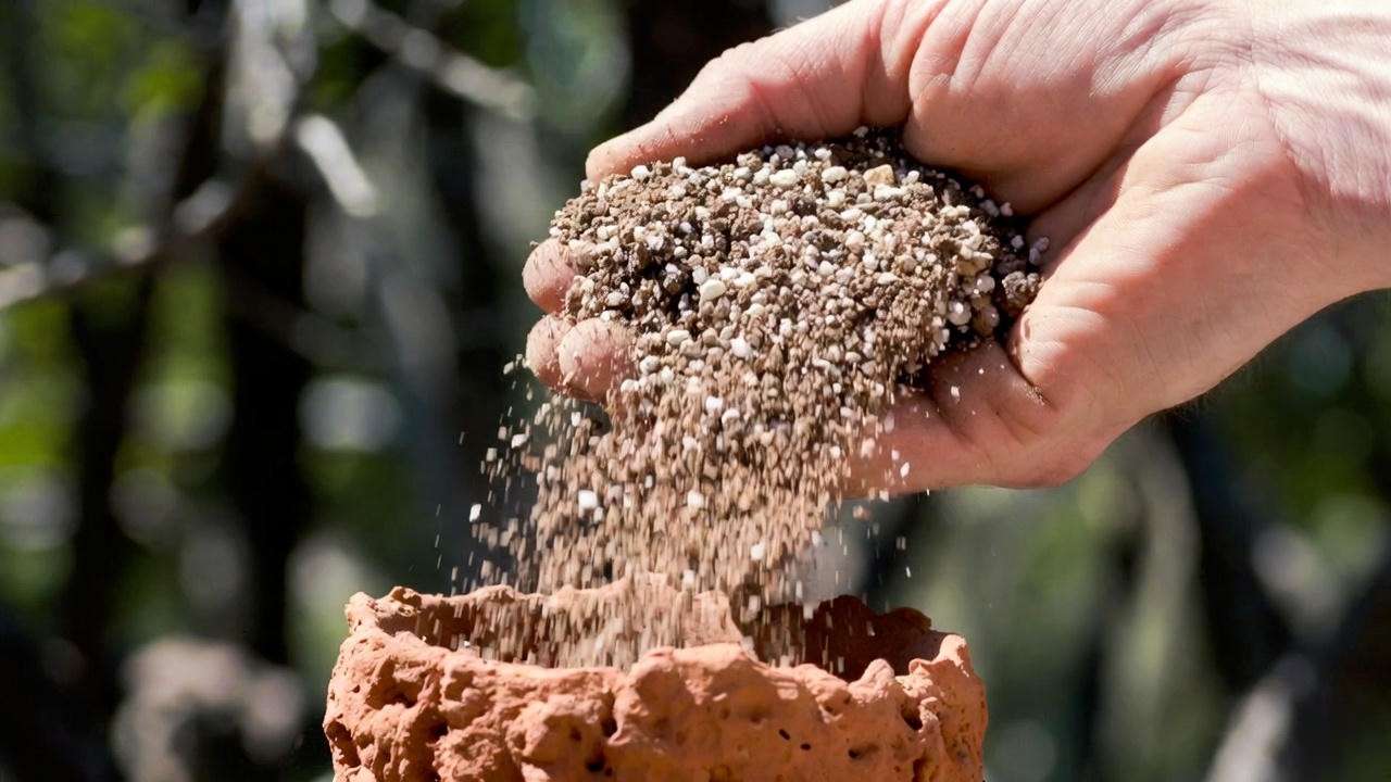 Best draining soil mix for mini cactus plants being poured into pot