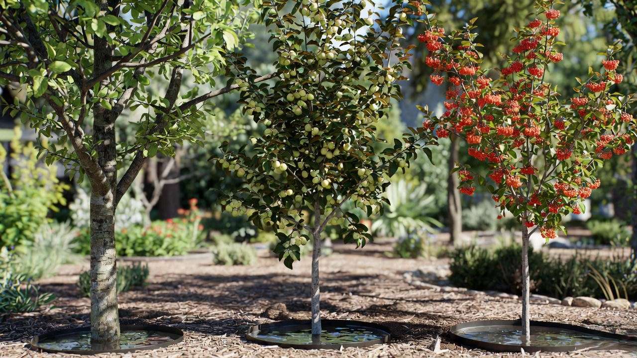 Oak, apple, and dogwood trees thriving with tree watering rings for deep hydration.