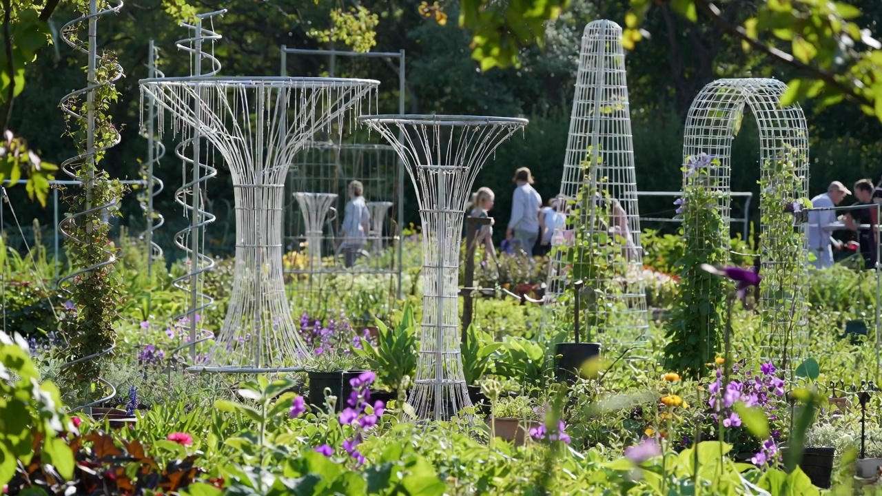 Community garden with diverse guitar string trees supporting ivy and sweet peas.