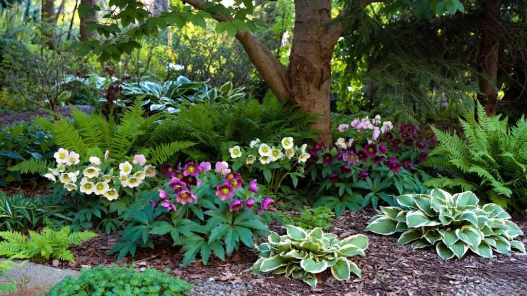 best flowers to plant around trees