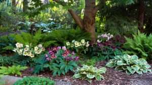 best flowers to plant around trees