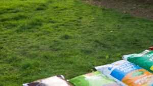 best grass fertilizer for clay soil