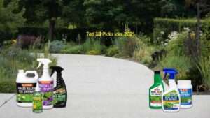 best grass killer for driveway