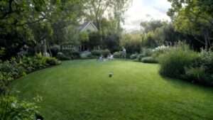 best grass seed for portland oregon