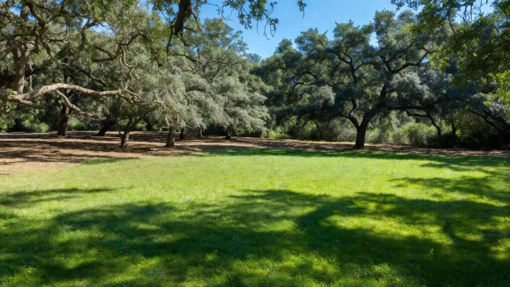 best grass under oak trees