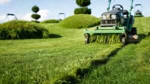 best height for bermuda grass