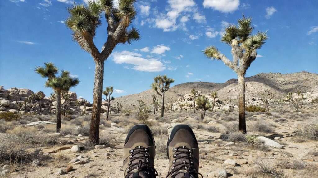 best hiking shoes for joshua tree