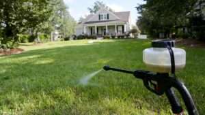 best liquid weed and feed for centipede grass