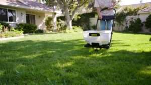 best pre emergent for zoysia grass