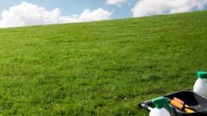 best spring grass treatment