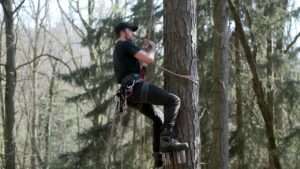 best tree climbing gear