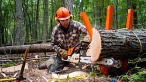 best tree felling wedges