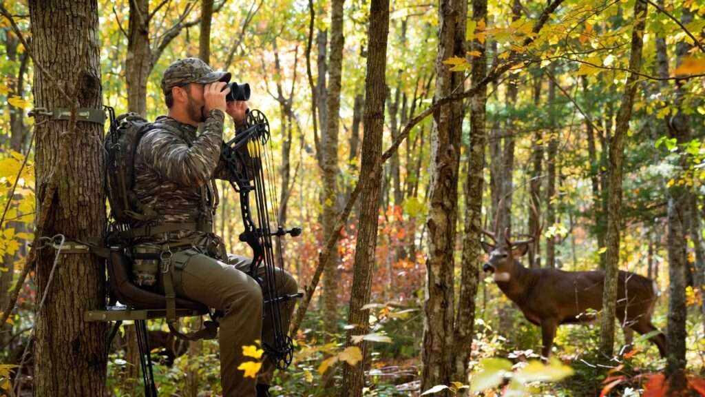 best tree seat for hunting