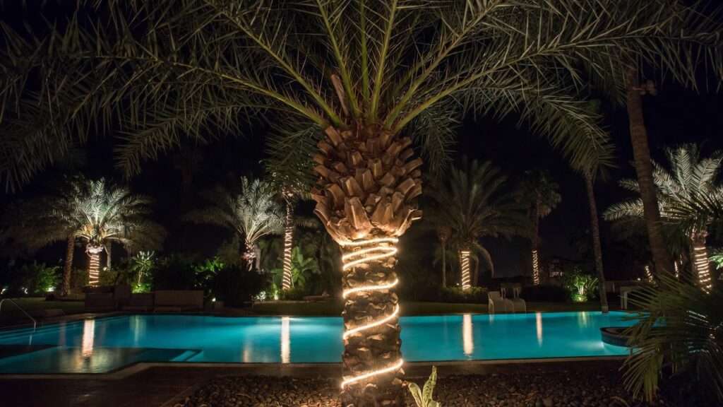 lights for palm trees