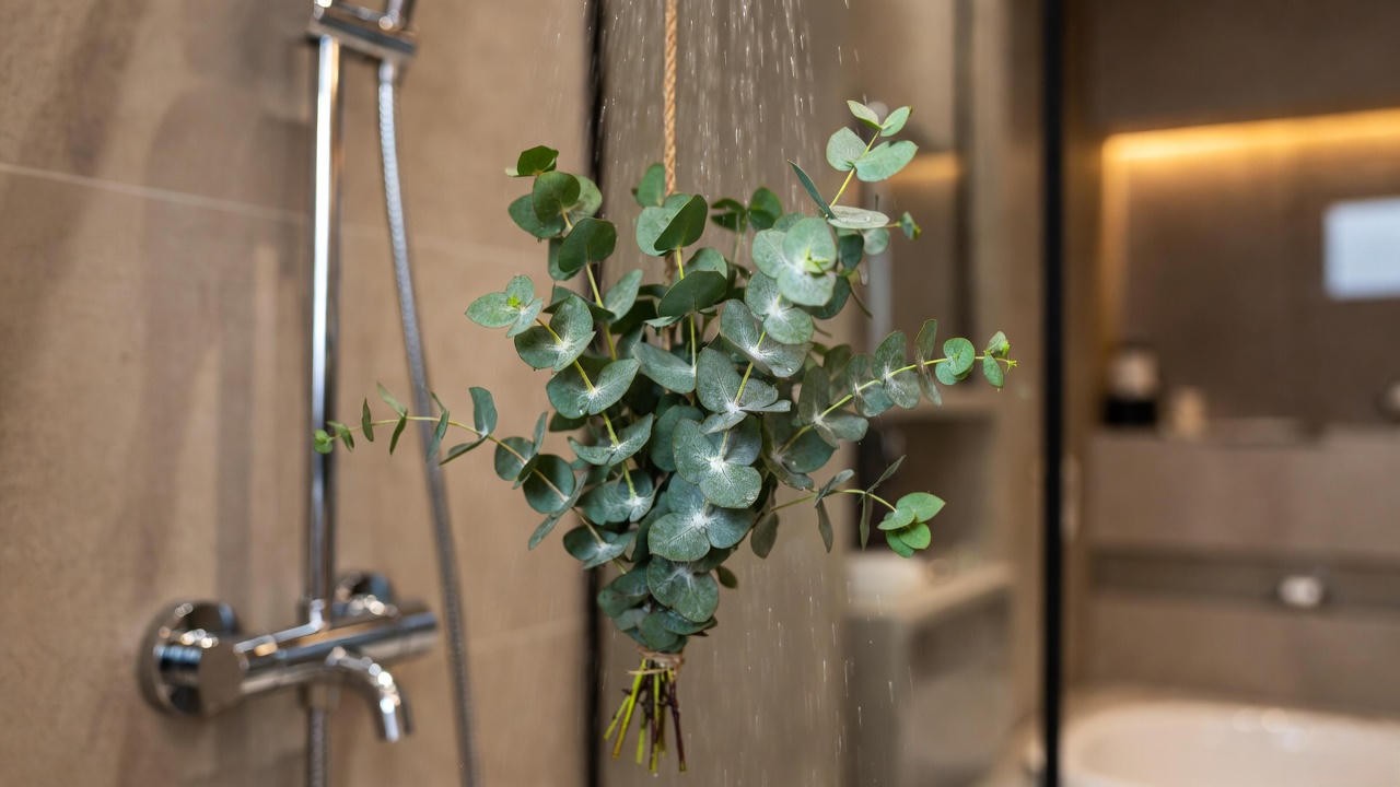 DIY eucalyptus shower bundle for aromatic spa experience at home