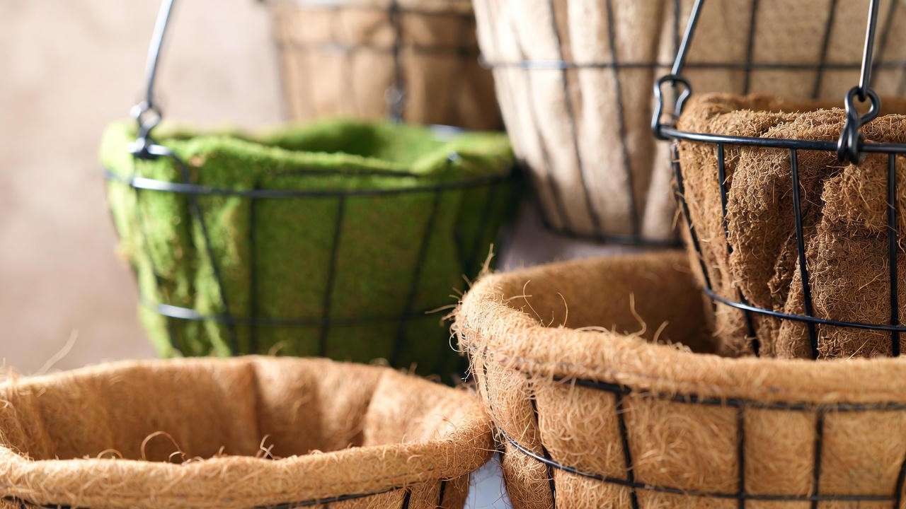 Comparison of coco coir, sphagnum moss, and plastic liners for plant hanging baskets