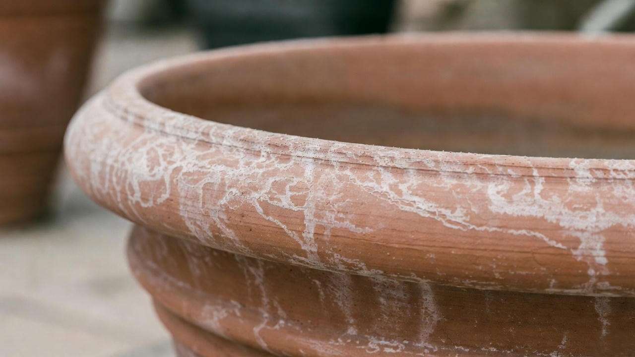 White mineral buildup on a large terracotta planter rim
