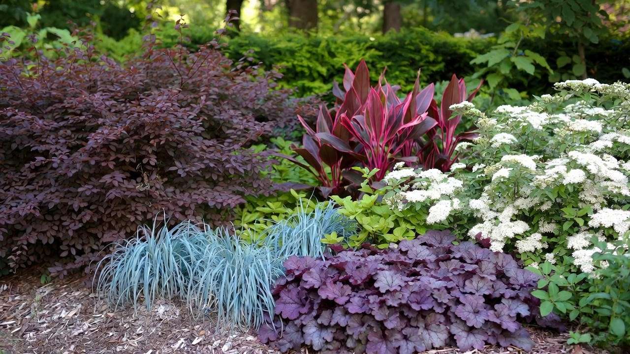 Landscaping with plants with red foliage and contrasting blue and white plants