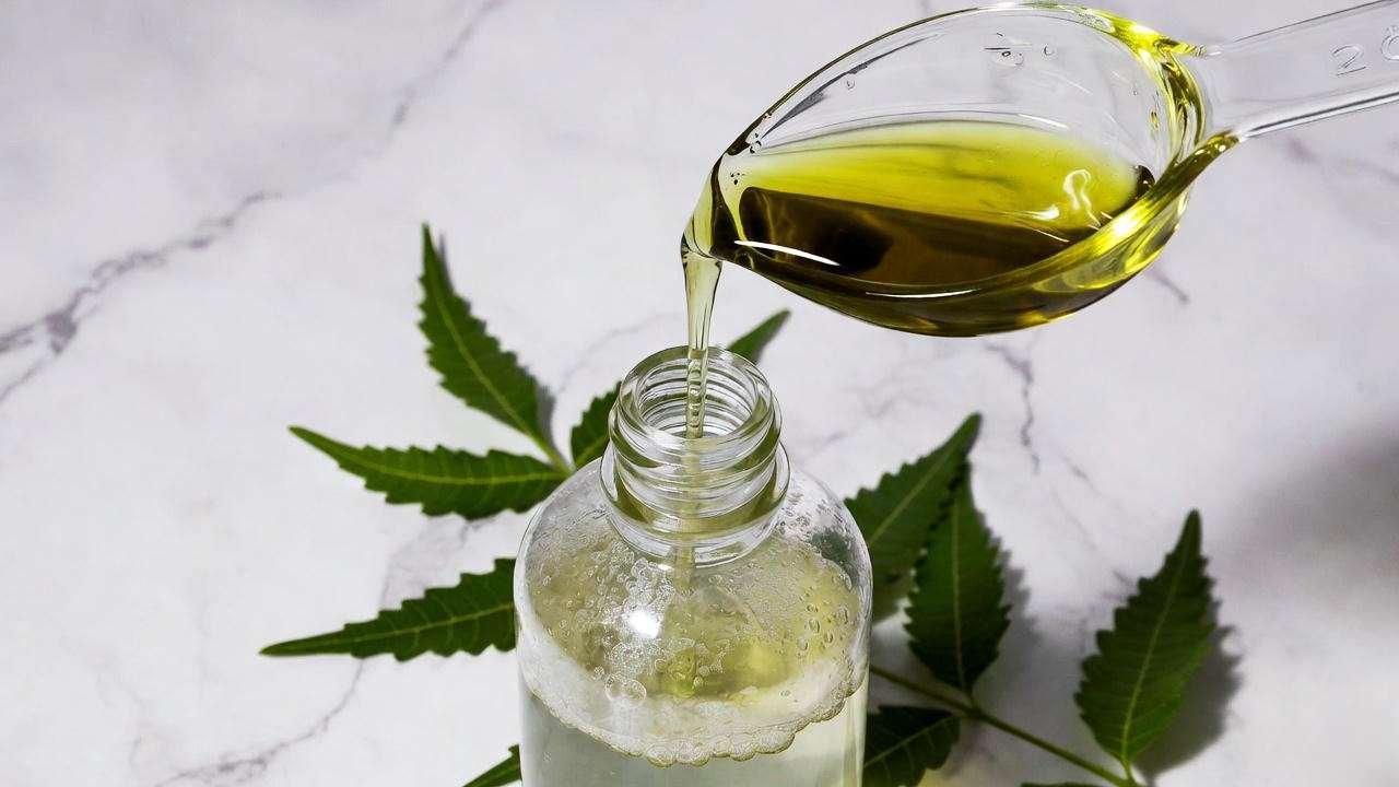 Preparing correct neem oil dilution for indoor plants