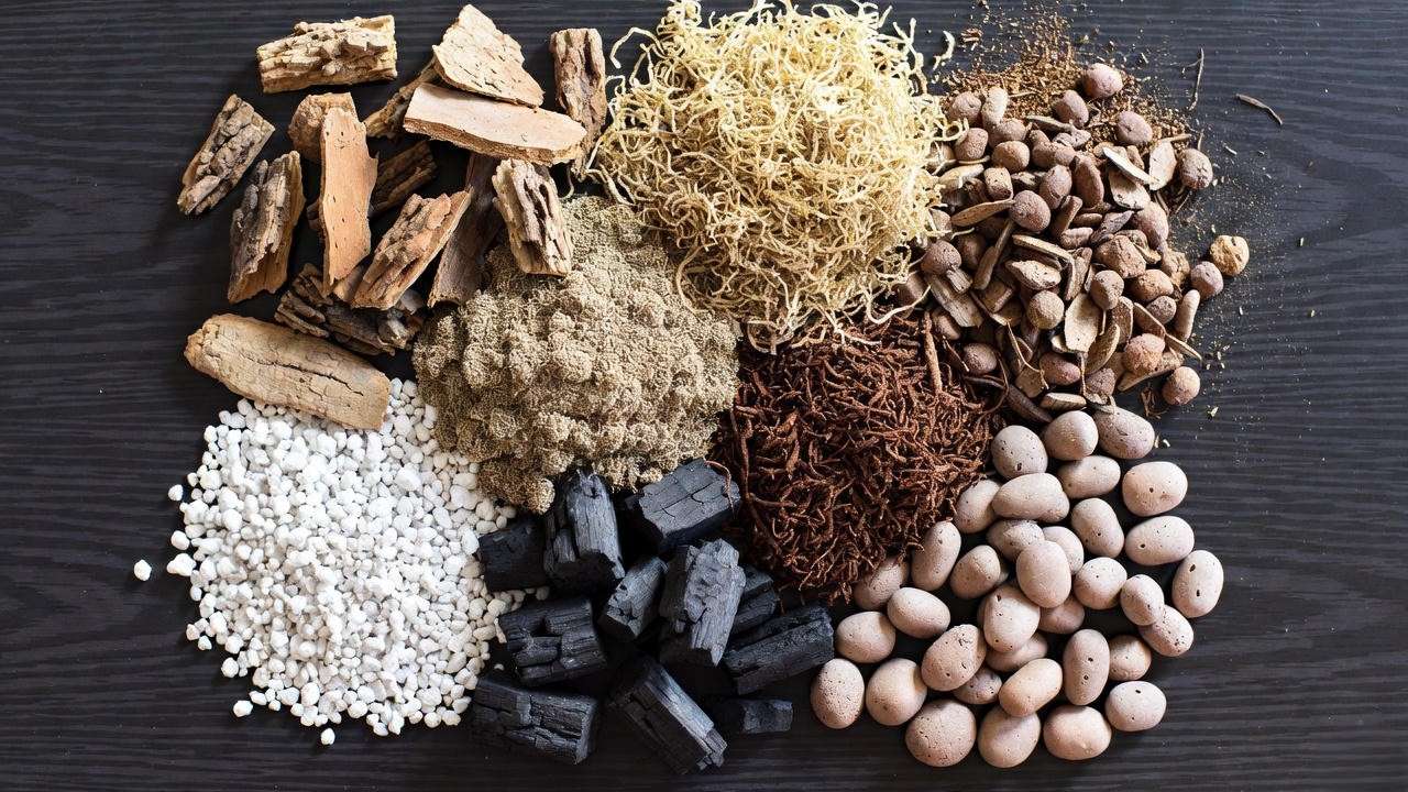 Best potting mix ingredients for Prosthechea radiata eyeball orchid”