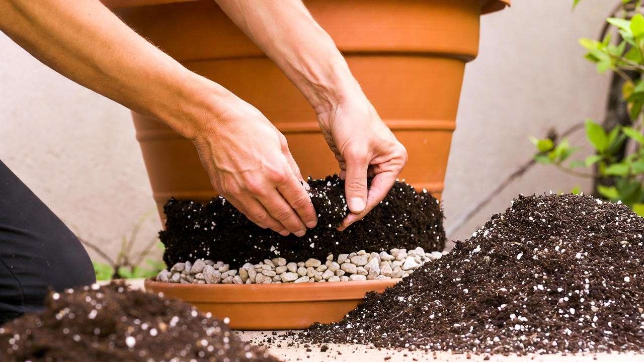 Adding drainage layer to a large terracotta planter during planting