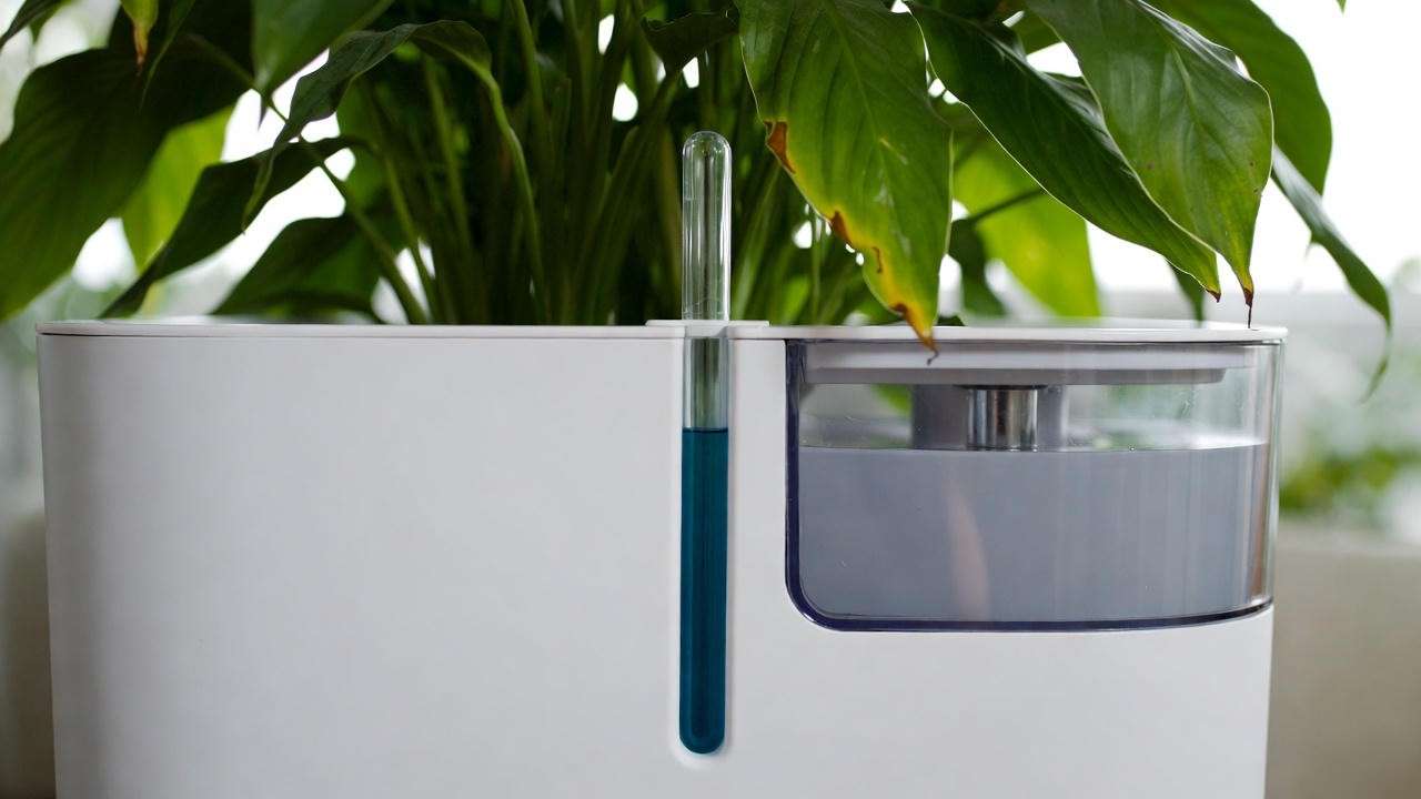 Self-watering planter with visible reservoir and healthy peace lily