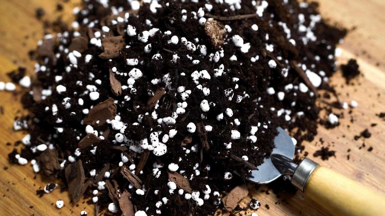 Well-draining soil mix for Chameleon ZZ Plant with perlite, potting soil, and bark