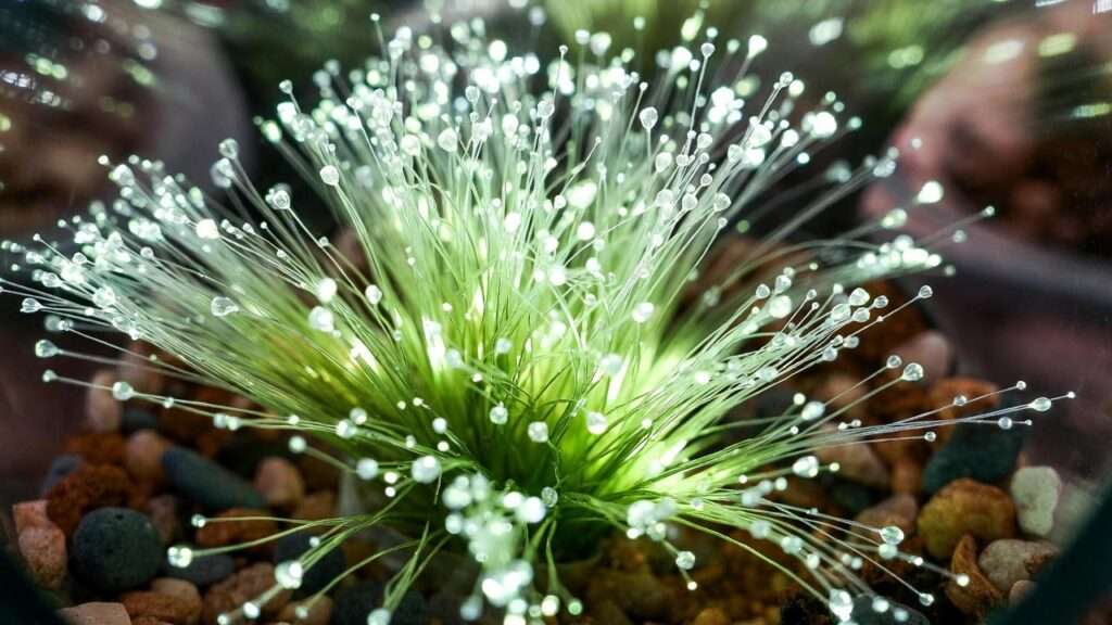 fiber optic grass plant