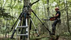 tree stand climbing sticks