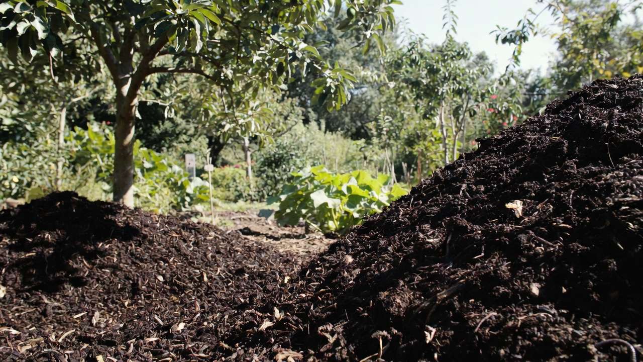 Nutrient-rich finished compost mulched around trees and plants after safe weed composting
