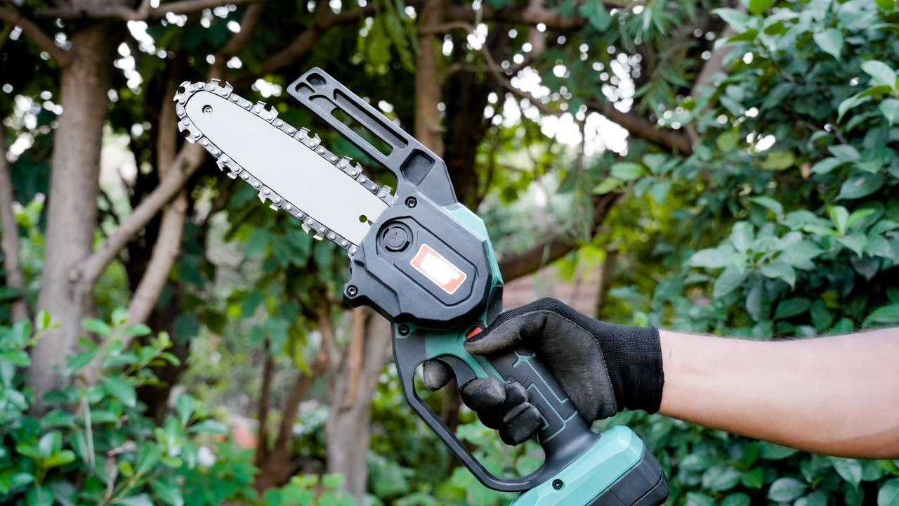 Compact cordless mini chainsaw ideal for home tree and branch pruning