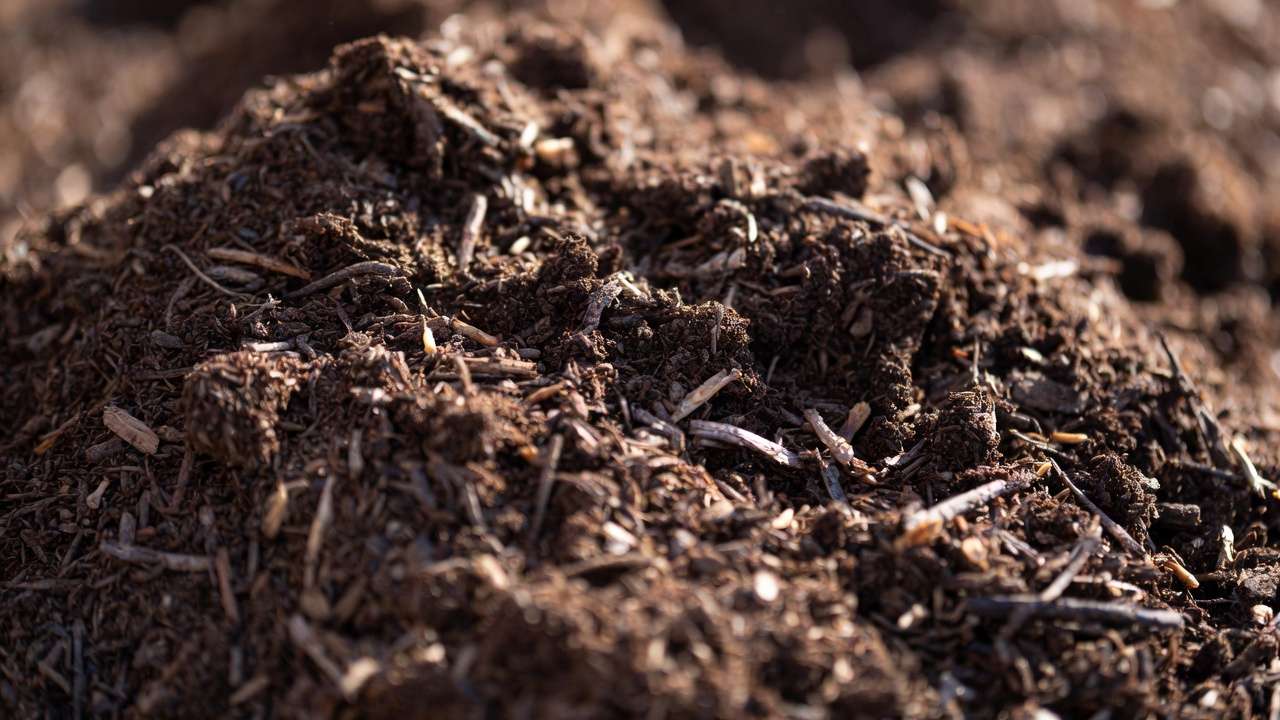 Close-up of finished mature compost ready for vegetable gardens, dark and crumbly texture.