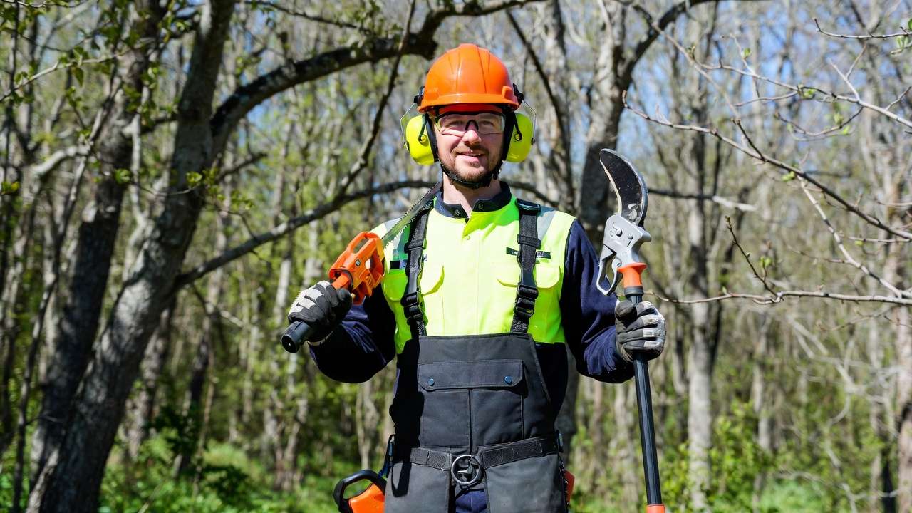 Professional arborist wearing complete PPE safety gear including hard hat gloves and chaps for safe tree pruning